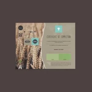 CiLO Certificate of Completion Template